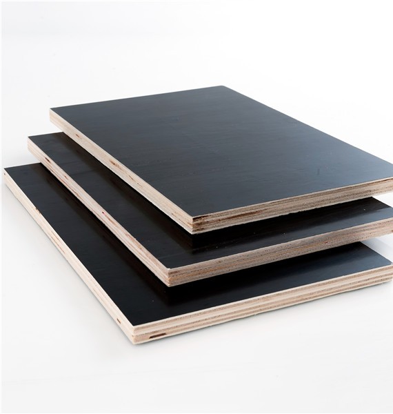 Catalog 21 16