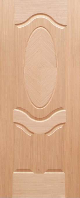 Catalog 24 25