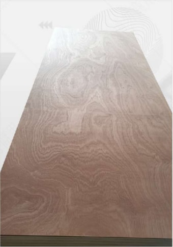 Catalog 33 door 6